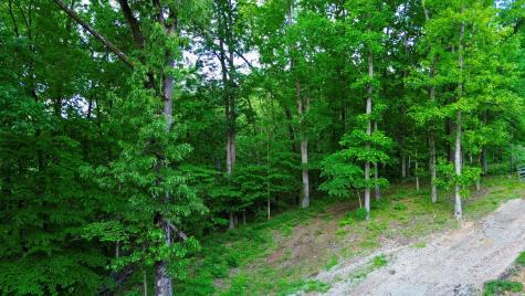 84 Lakeview Drive Eva TN 38333