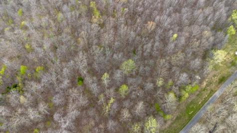 0 Keel Hollow Lane Erin TN 37061