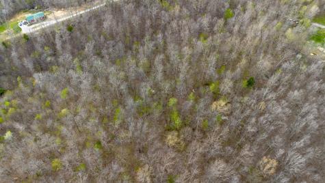 0 Keel Hollow Lane Erin TN 37061