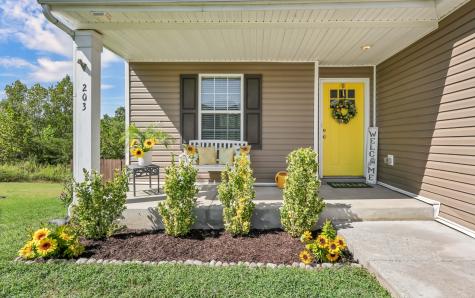 203 Casting Court Clarksville TN 37043