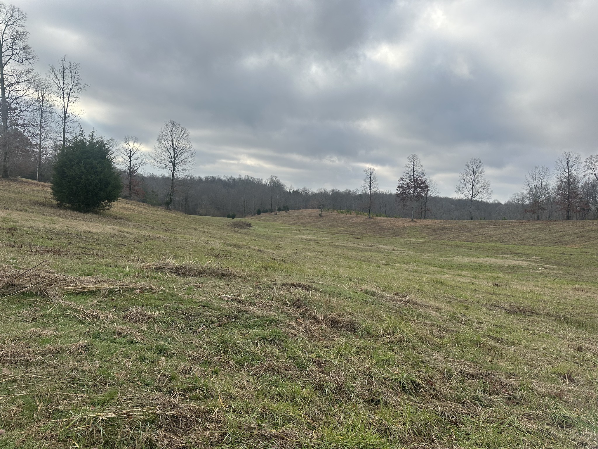 0 Woodland Avenue Lawrenceburg TN 38464