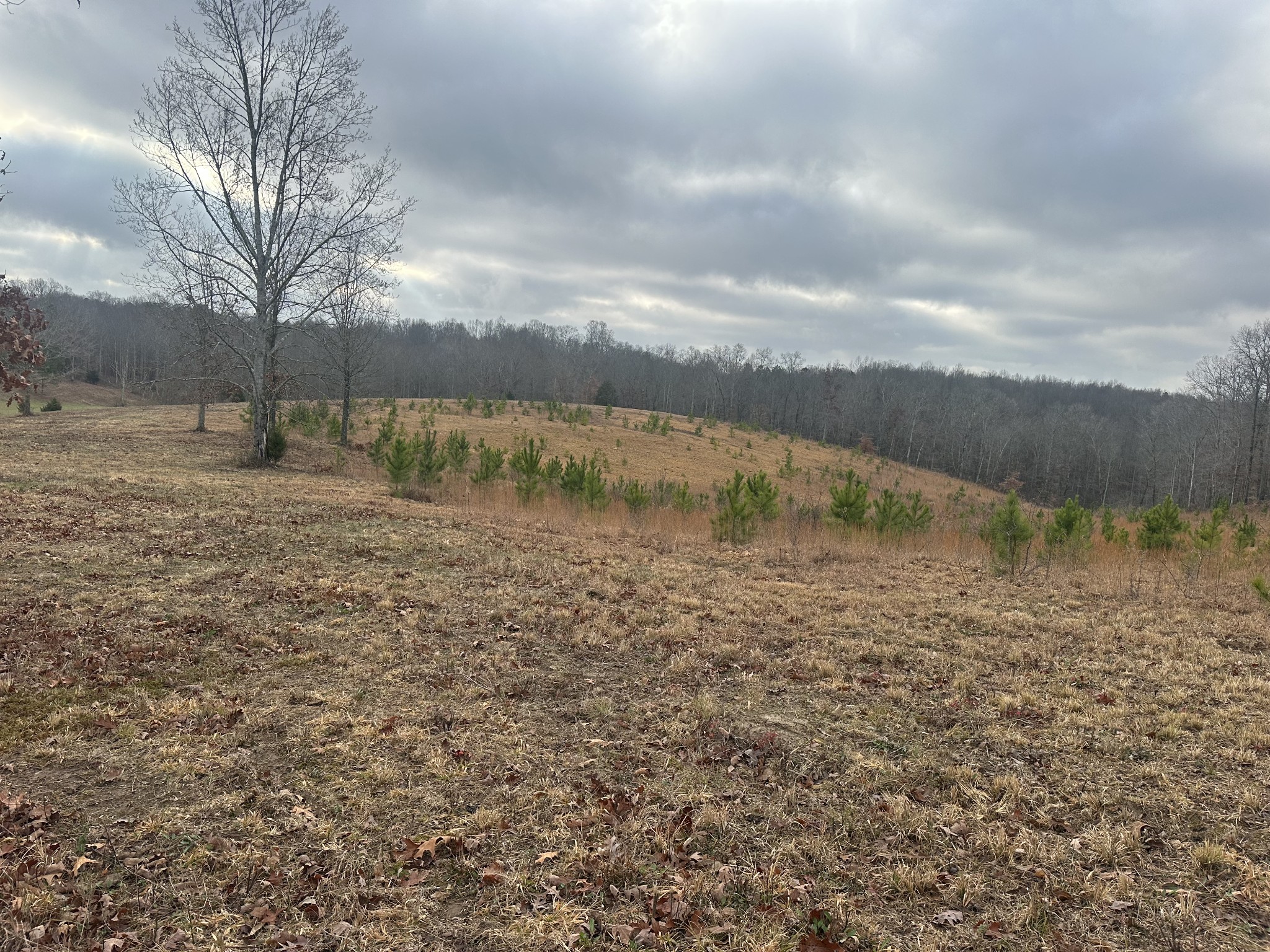 0 Woodland Avenue Lawrenceburg TN 38464