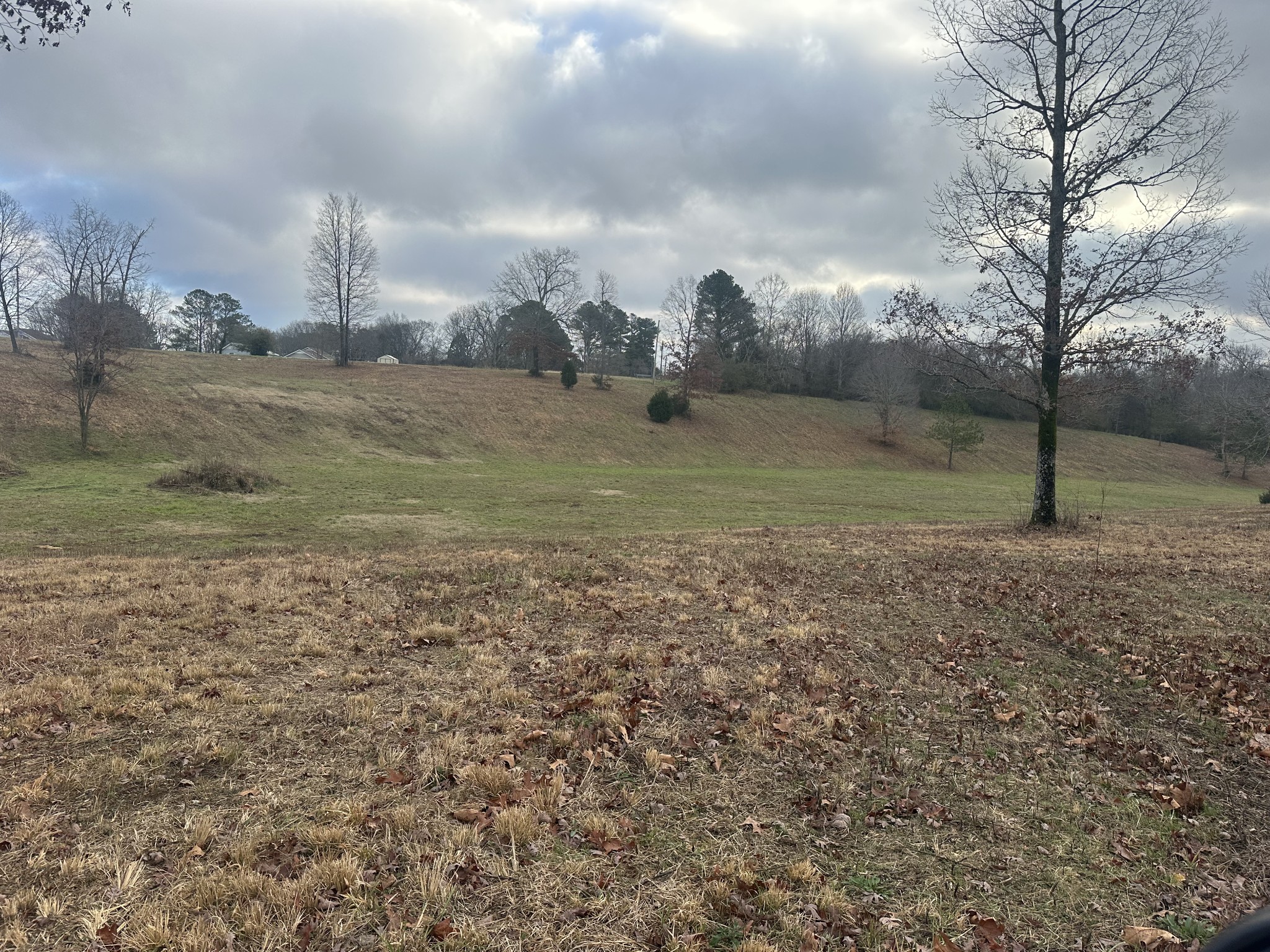 0 Woodland Avenue Lawrenceburg TN 38464