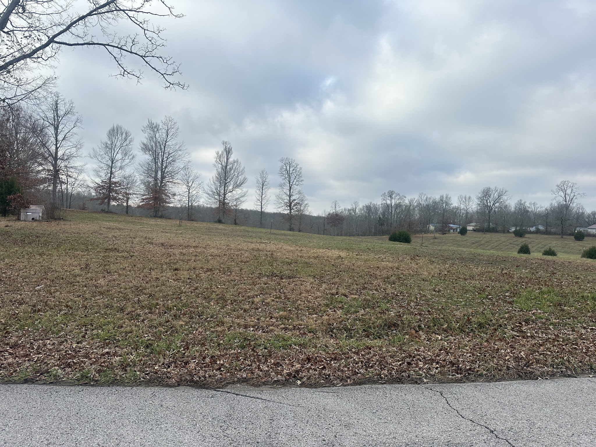 0 Woodland Avenue Lawrenceburg TN 38464