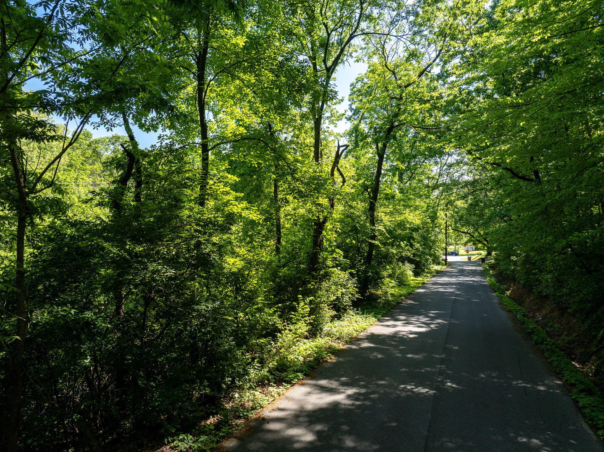 0 New York Avenue Chattanooga TN 37406