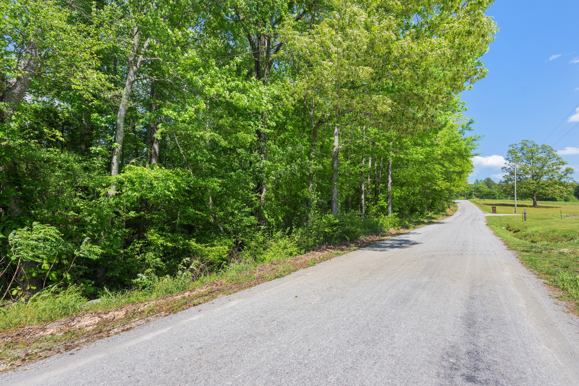 0 Mebane Cemetery Road Huntingdon TN 38344