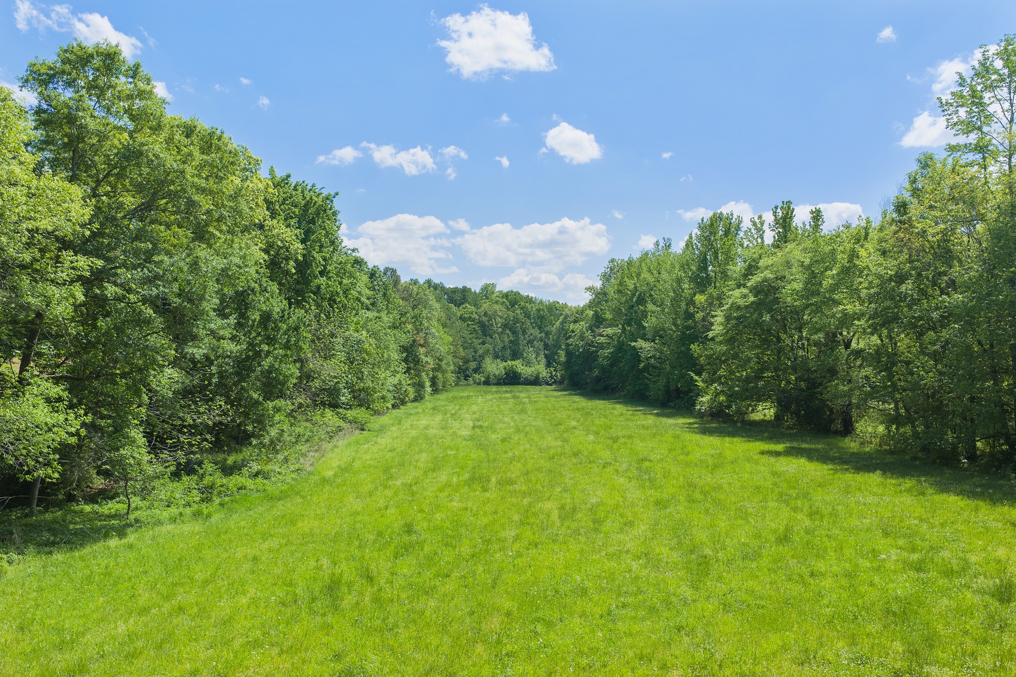 0 Mebane Cemetery Road Huntingdon TN 38344