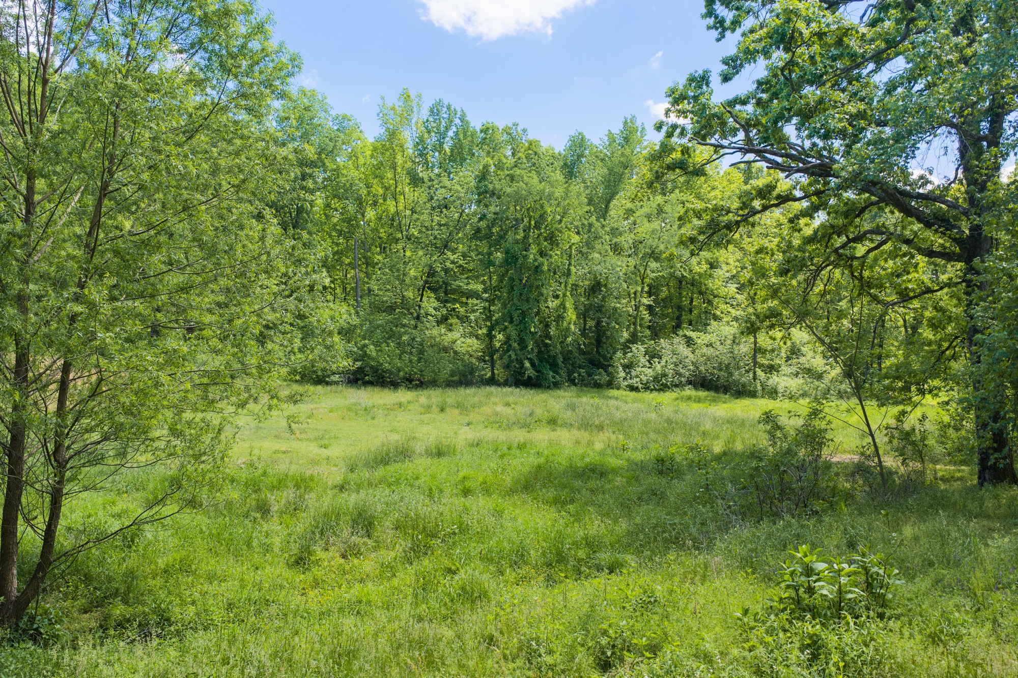 0 Mebane Cemetery Road Huntingdon TN 38344