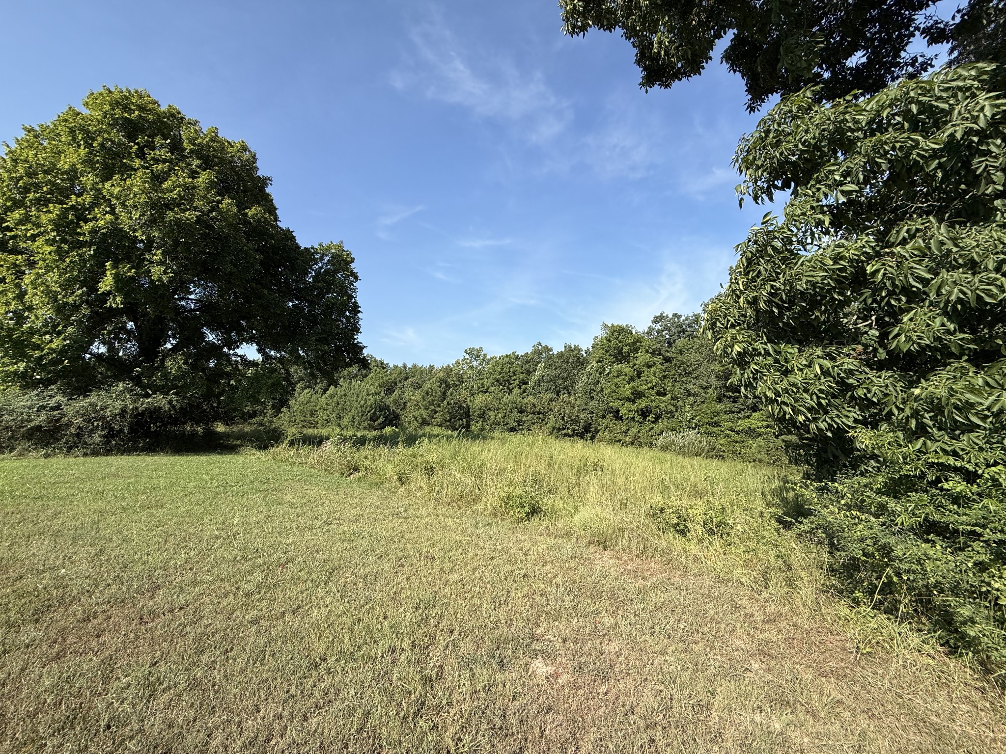 1331 Highway 100 Centerville TN 37033
