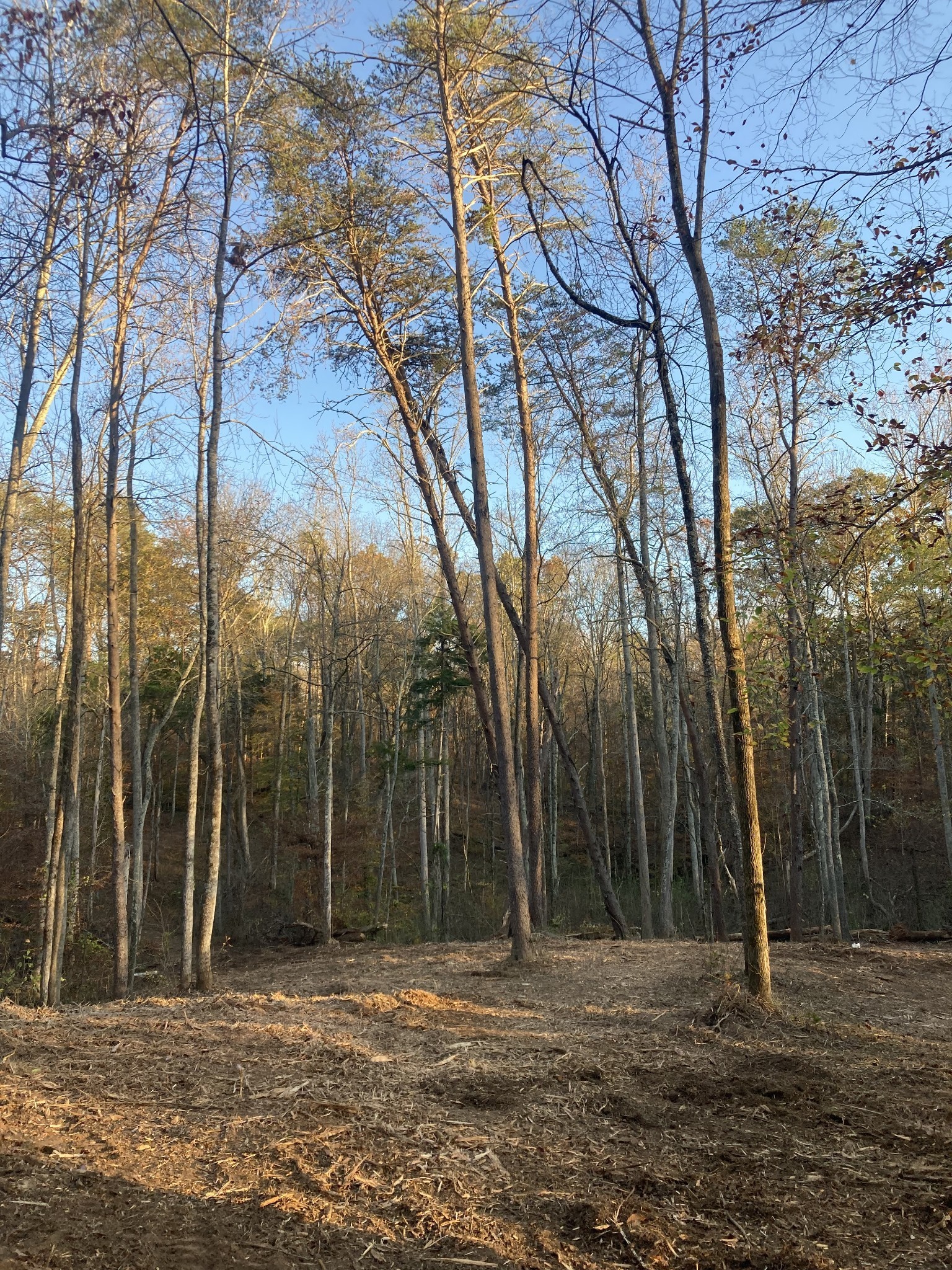 0 Ranches At Hidden River Pr Rock Island TN 38581