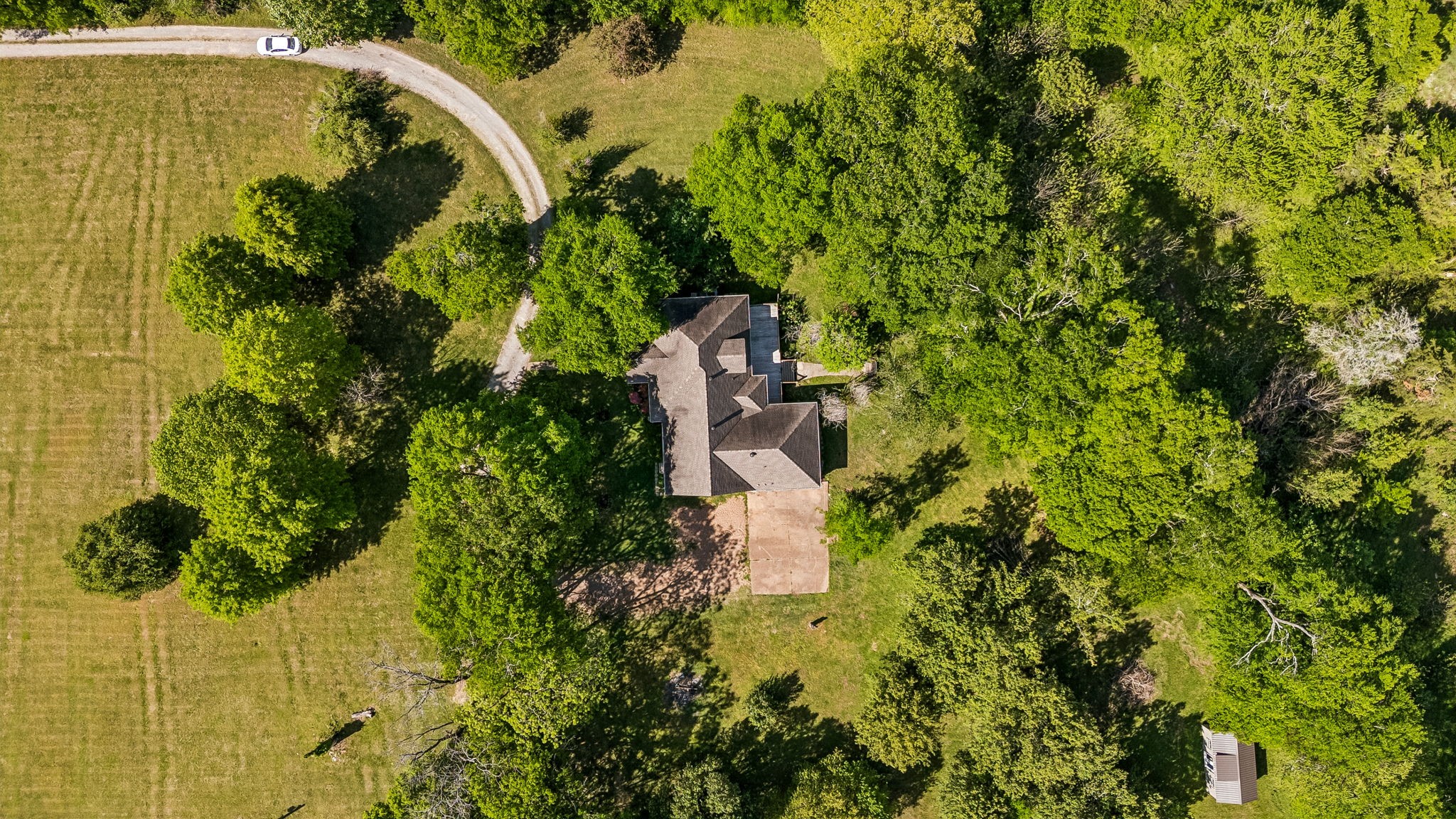 1019 Hilton Lane Castalian Springs TN 37031