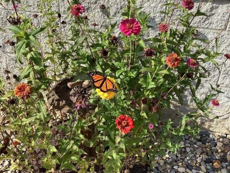 4134 Hickory Valley Road Sparta TN 38583