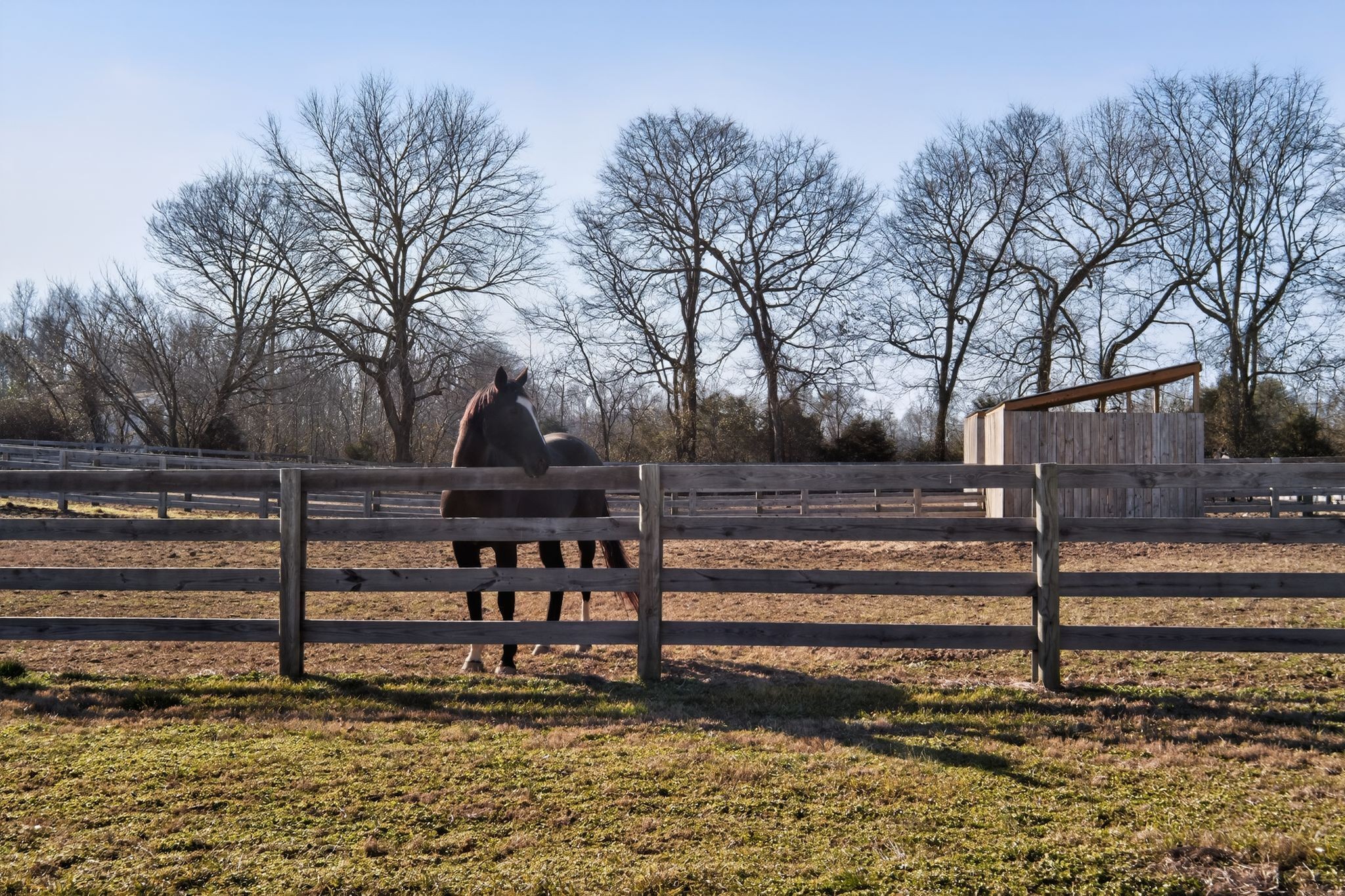 441 Matts Hollow Road Manchester TN 37355
