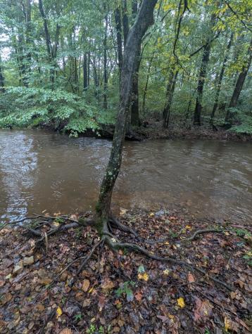 441 Matts Hollow Road Manchester TN 37355