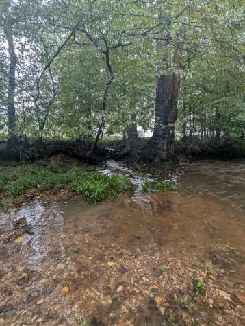 441 Matts Hollow Road Manchester TN 37355