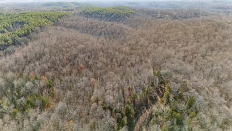 0 Coxburg Road Holladay TN 38341