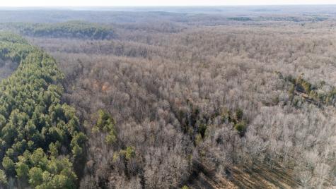 0 Coxburg Road Holladay TN 38341