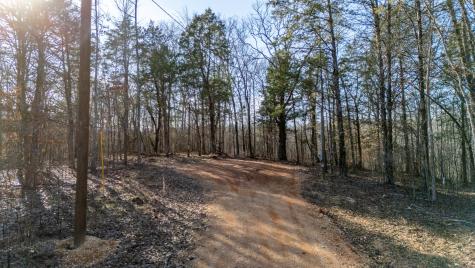 0 Coxburg Road Holladay TN 38341