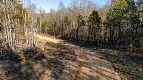 0 Coxburg Road Holladay TN 38341