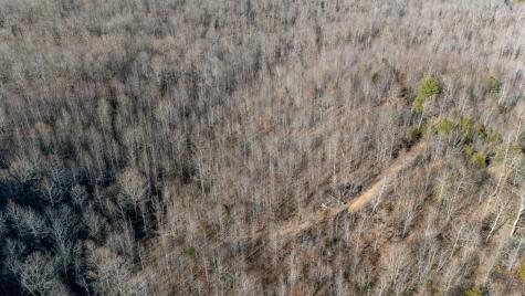 0 Coxburg Road Holladay TN 38341