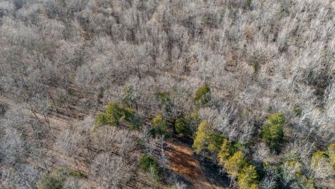 0 Coxburg Road Holladay TN 38341