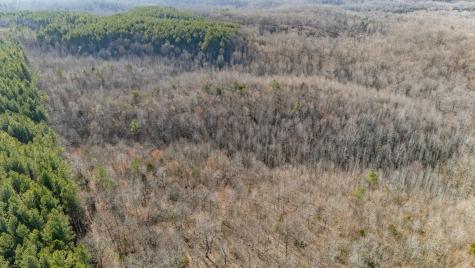 0 Coxburg Road Holladay TN 38341