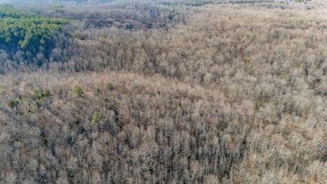 0 Coxburg Road Holladay TN 38341