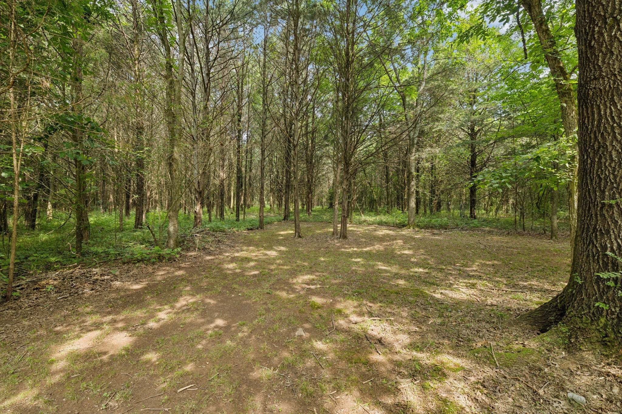 6031 Buckeye Valley Road Murfreesboro TN 37129