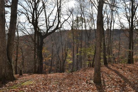 1454 Stage Coach Road Sewanee TN 37375