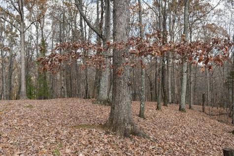 1454 Stage Coach Road Sewanee TN 37375