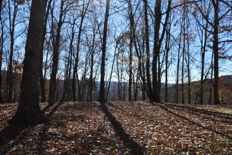 1454 Stage Coach Road Sewanee TN 37375