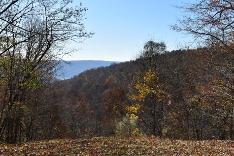 1454 Stage Coach Road Sewanee TN 37375