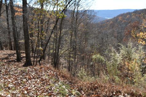 1454 Stage Coach Road Sewanee TN 37375