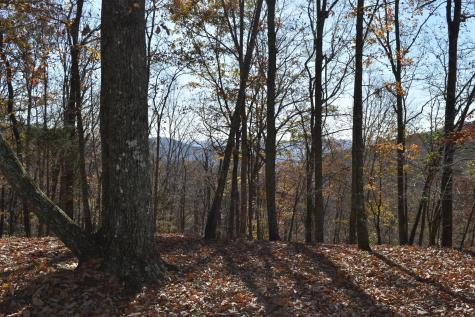 1454 Stage Coach Road Sewanee TN 37375