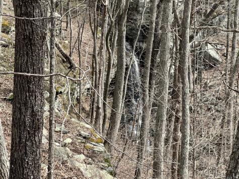 4441 Deer Run Road Altamont TN 37301