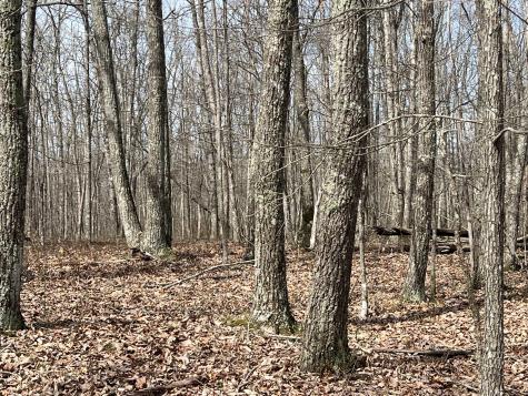 4441 Deer Run Road Altamont TN 37301