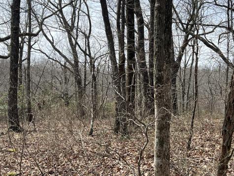 4441 Deer Run Road Altamont TN 37301