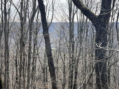 4441 Deer Run Road Altamont TN 37301