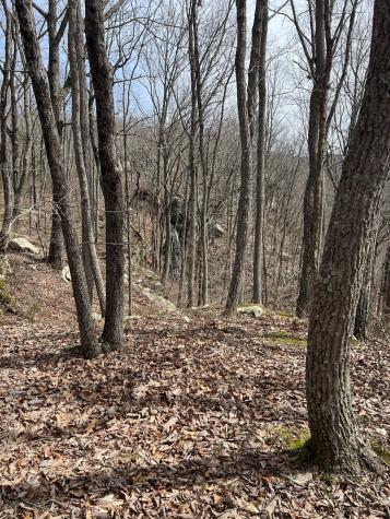 4441 Deer Run Road Altamont TN 37301