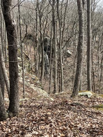 4441 Deer Run Road Altamont TN 37301