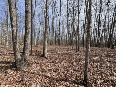 4441 Deer Run Road Altamont TN 37301