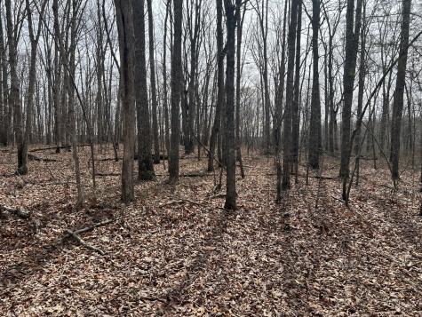 4441 Deer Run Road Altamont TN 37301