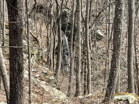 4441 Deer Run Road Altamont TN 37301