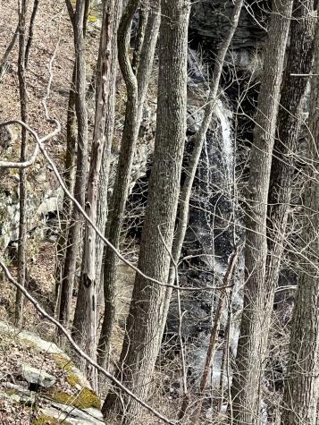 4441 Deer Run Road Altamont TN 37301