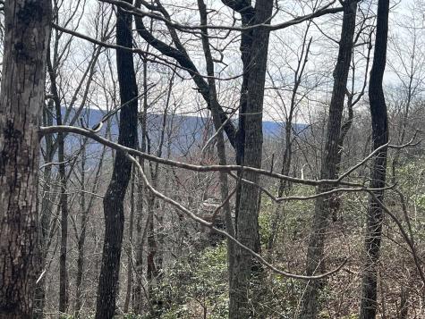 4441 Deer Run Road Altamont TN 37301