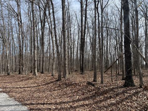 4441 Deer Run Road Altamont TN 37301