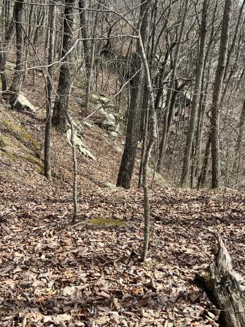 4441 Deer Run Road Altamont TN 37301