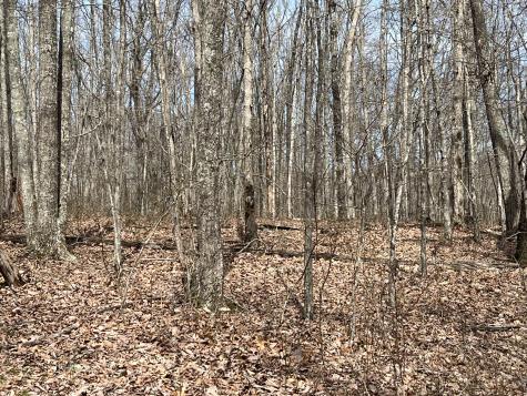 4441 Deer Run Road Altamont TN 37301