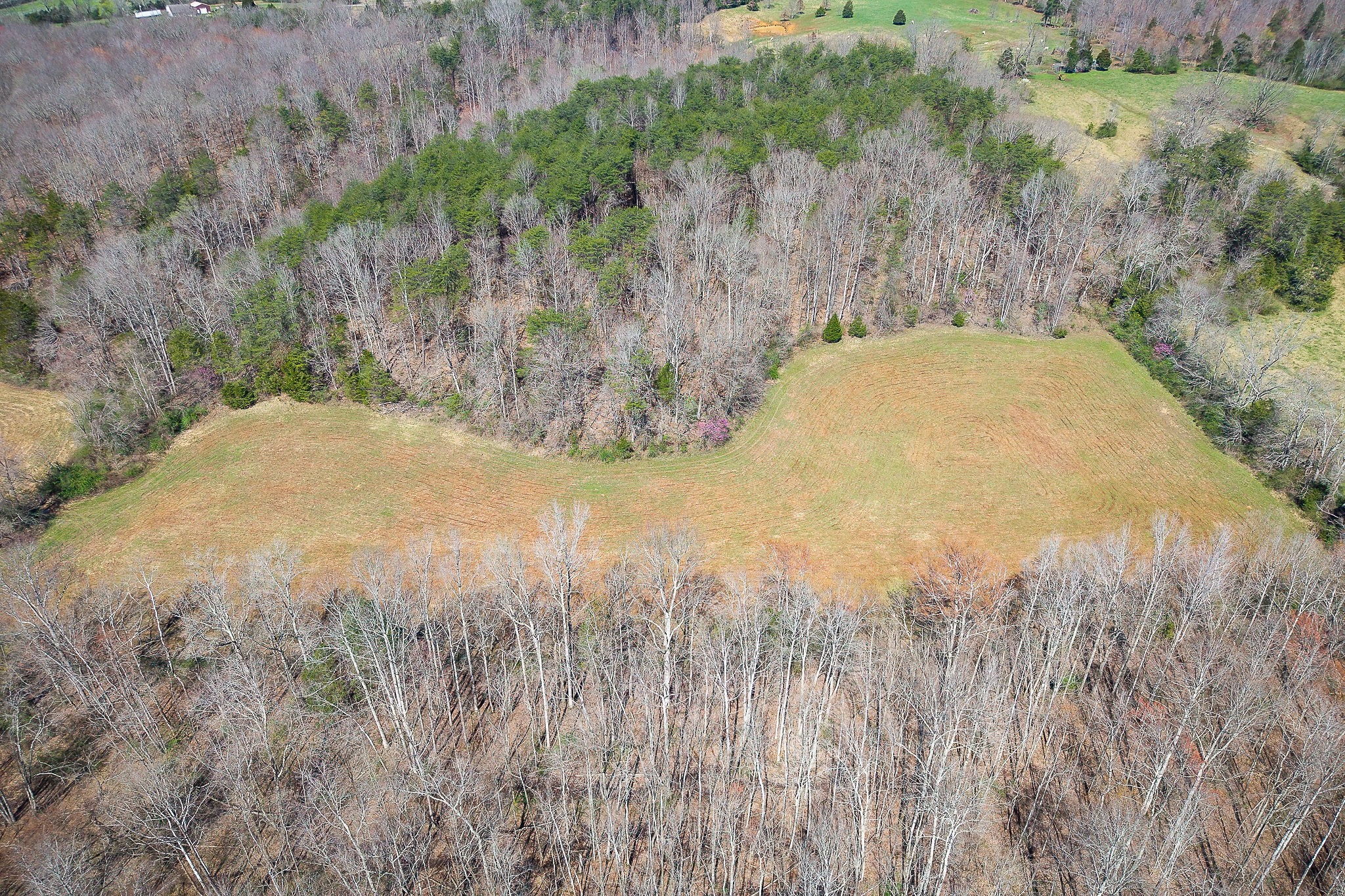 0 Ditty Road Cookeville TN 38506