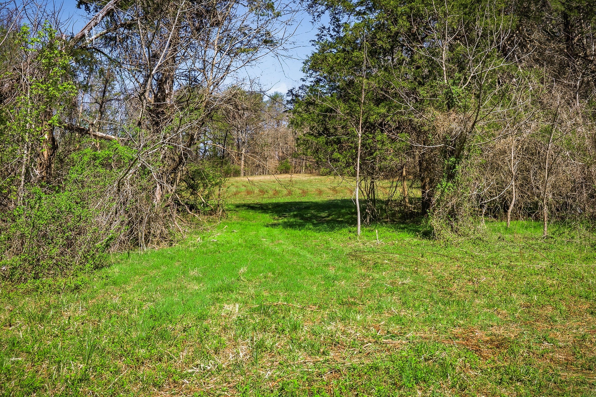 0 Ditty Road Cookeville TN 38506